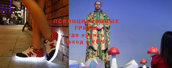 а пвп мука Богданович