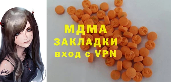 гидра Богородск