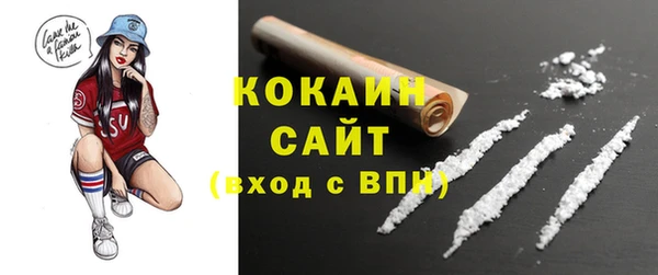 гидра Богородск