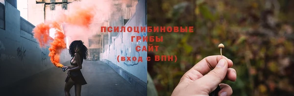 экстази Богородицк