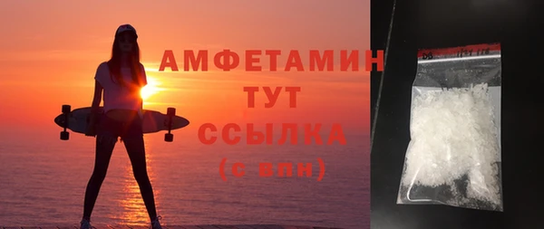 гидра Богородск