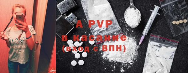 гидра Богородск