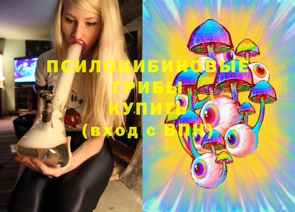 а пвп мука Богданович