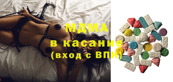 гидра Богородск