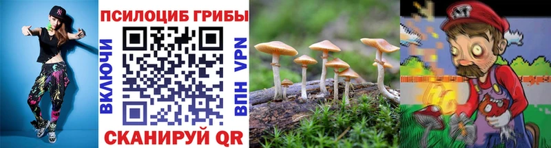 наркота  Волжский  shop формула  Псилоцибиновые грибы Cubensis 